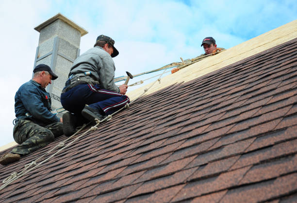 Best Gutter Installation and Roofing  in Orchards, WA